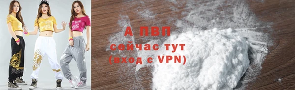 первитин Богданович