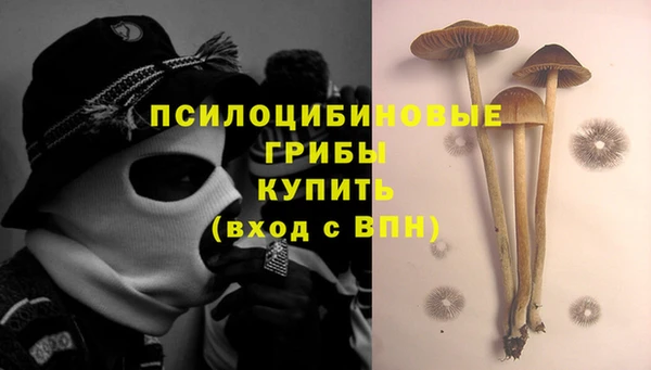 MDMA Богородицк