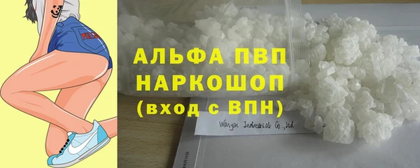 крисы Богородск
