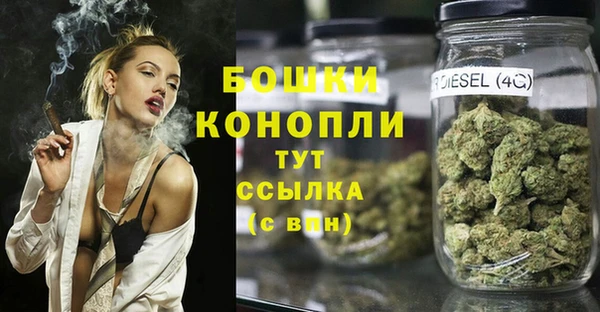 первитин Богданович