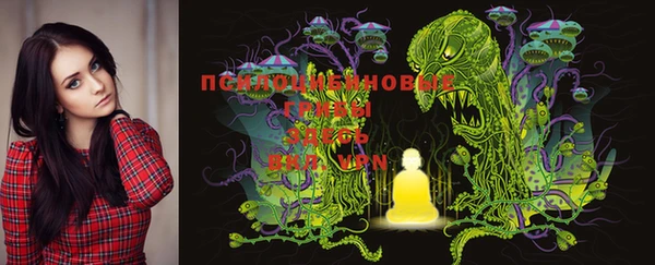 MDMA Богородицк