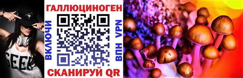 Галлюциногенные грибы Psilocybine cubensis  цена   Колпашево 